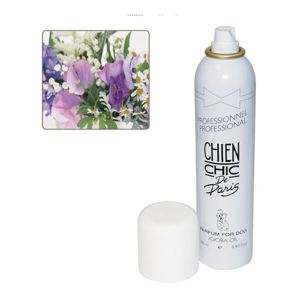 Perfumes For Pet Dogs Chien Hund